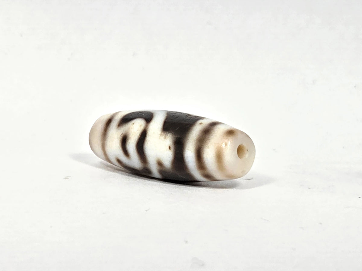 Angled view of antique Tibetan dzi bead AT-B-101226-TLV showing elongated profile with dark horizontal stripe bands, cream-white agate body, and drill hole aperture at cream-white tip, 200–300 years old