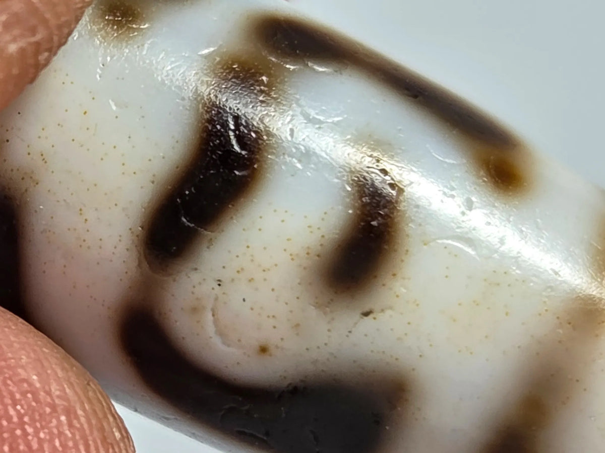 Macro close-up of antique Tibetan dzi bead AT-B-101226-TLV showing bloodspot patina — scattered rust-brown micro-speckling across cream-white agate zones — and dark motif line detail, 200–300 years old