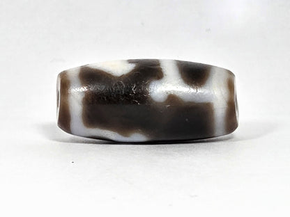 At-080926-RuyiBS antique Ruyi dzi bead 26.2×12.0mm, Face B showing cream band with bracket extensions and dark brown lower zone, unretouched