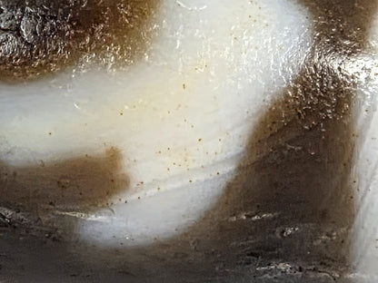 At-080926-RuyiBS macro view second cream zone showing fine micro-dot cinnabar scatter and dark brown motif boundaries, unretouched
