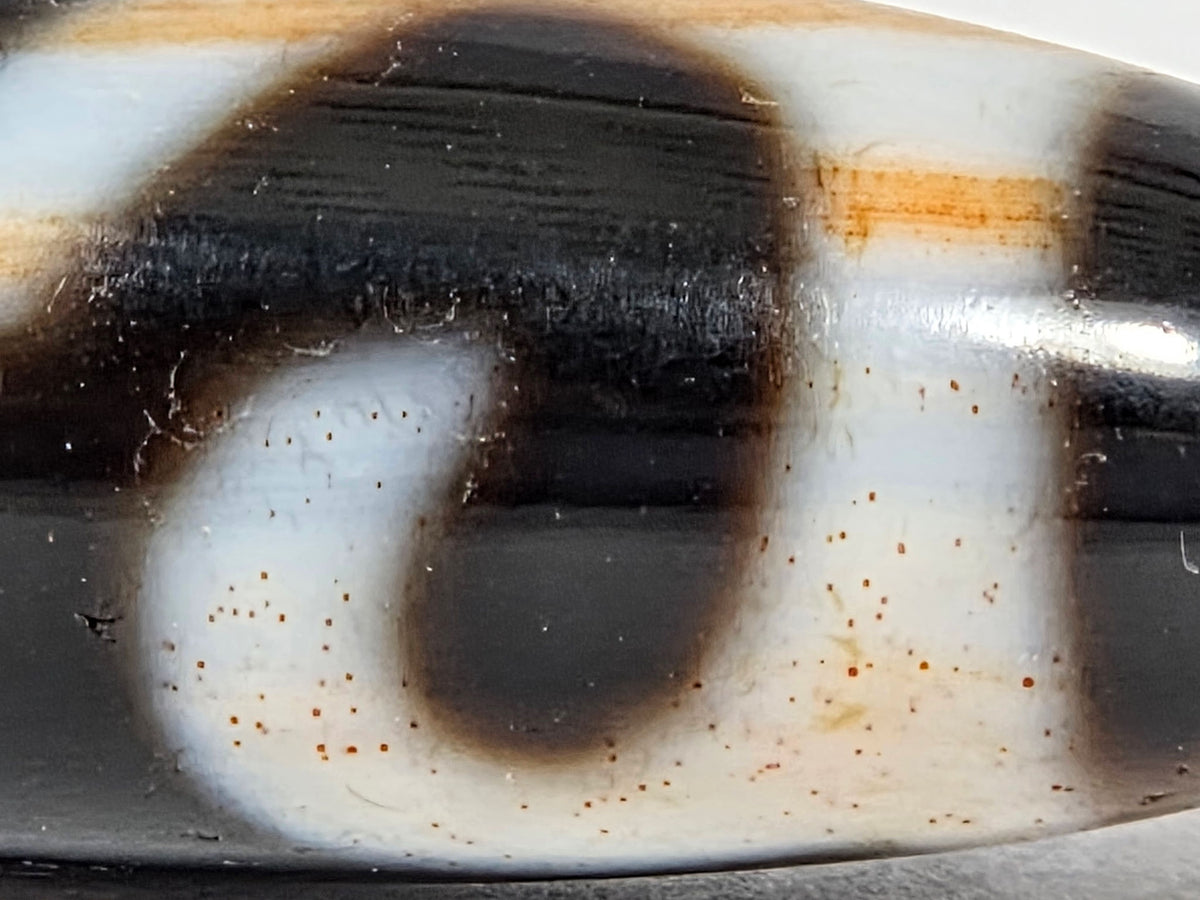 At-090526-RYBS antique ruyi dzi macro bloodspots lower zone concentration cinnabar dots ruyi arc, unretouched
