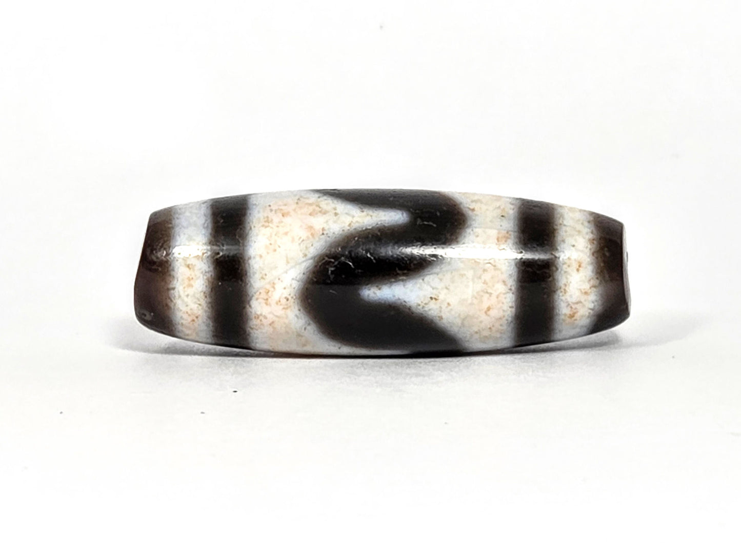 At-080326-TaBS4 antique tasso tiger tooth dzi 35.6×12.1mm dark brown agate face A upward wave sweep unretouched