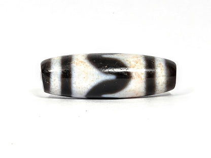 At-080326-TaBS4 antique tasso tiger tooth dzi dark brown agate face C downward wave sweep unretouched
