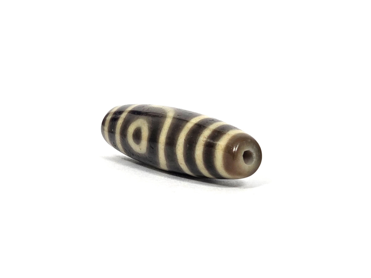Angled end view of antique Tibetan two eye dzi bead AT-102126-2E showing drill hole in translucent brown agate tip that confirms the dark brown body color, with cream bands and framed eye along the barrel