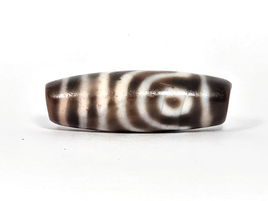 At-072326-2EVBS antique two eye variant dzi 41.1×13.7mm dark brown agate face A concentric eye unretouched