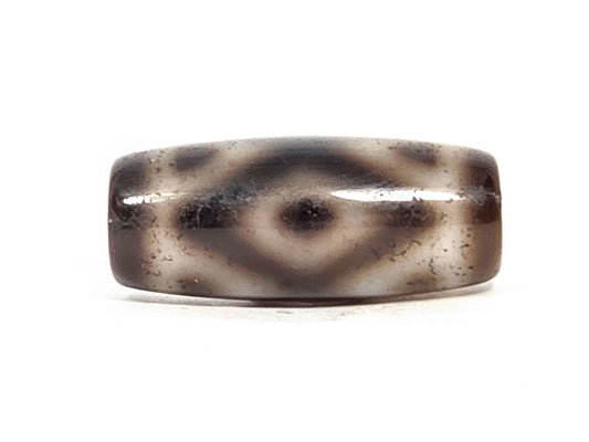 Three Eye Tiger Tooth N-FA-071426-3ETT 27.6×11.8mm grey-brown agate face A — diamond eye, tiger dots, unretouched.