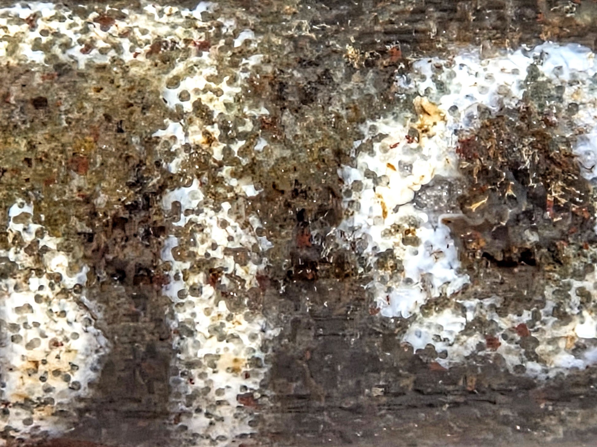 N-082326-9EBS new nine eye dzi bead macro bloodspot detail pervasive reddish cinnabar cream zone unretouched