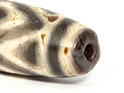 Ancient Three Diamond Eye and Tiger Tooth Dzi bead held in hand against green background — scale reference, 36.3mm genuine Tibetan amulet
