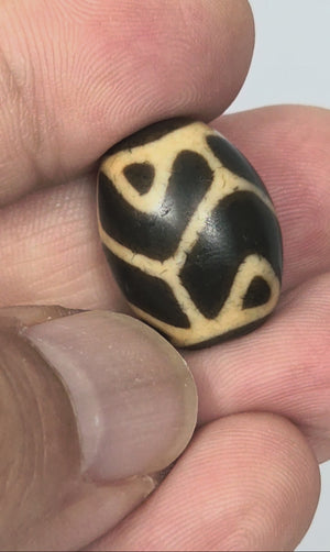 Antique Tibetan Round Dzi Bead featuring the Tiger Tooth Longevity Motif (110525)