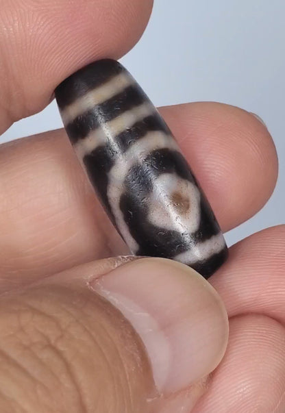 Antique Tibetan Two Diamond Eye Dzi Bead with Bloodspots (TiD-Ant-XB-TwE-050125)