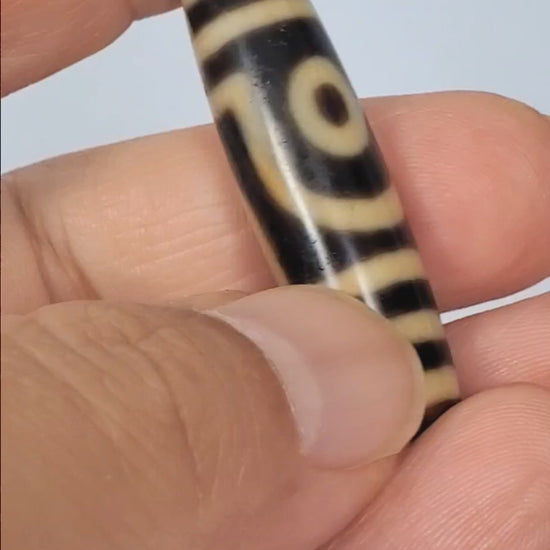 Video of antique Tibetan two eye dzi bead At-052526-2E2 rotating 360°, both open C-ring eyes visible on opposite faces, near-black natural agate, 47.4mm × 11.8mm, unretouched footage