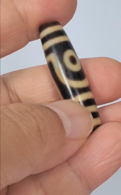 Video of antique Tibetan two eye dzi bead At-052526-2E2 rotating 360°, both open C-ring eyes visible on opposite faces, near-black natural agate, 47.4mm × 11.8mm, unretouched footage
