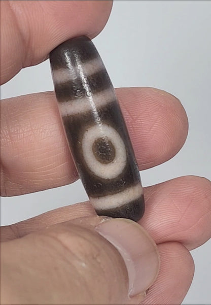 Antique Tibetan Two Eye Motif Dzi Bead with Bloodspots (TiD-Ant-B-TwE-092724)