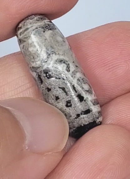 Ancient Twelve Eye Lotus Motif Dzi Bead (Anc-TiD-TwEL-051924)