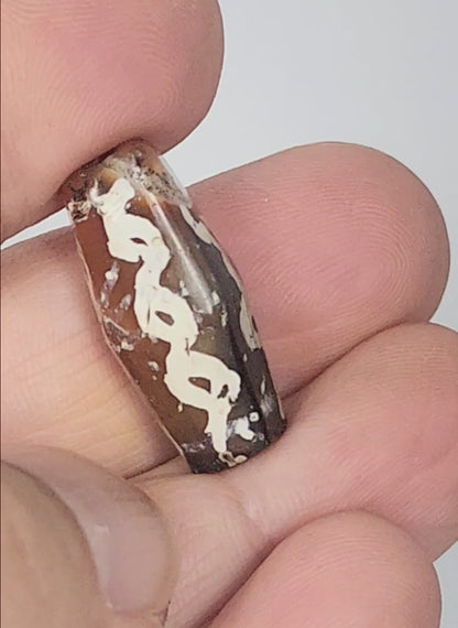 Ancient Links Motif Carnelian Dzi (032425) - Rare Octagon Shape