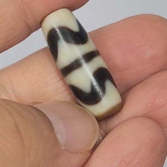 Video of antique Tibetan Double Wave dzi At-072325-DW5 rotating 360°, two interlocking cream wave forms on warm brown agate, compact 28.4mm × 10.6mm torpedo, 200–300 yrs, unretouched