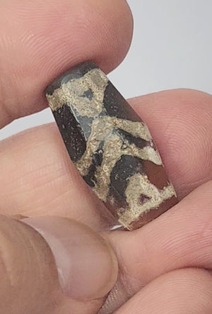 Ancient Twin Tiger Stripe & Tiger Tooth Motif Carnelian Dzi