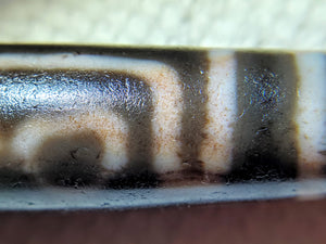 Ancient Five Eye Motif Tibetan Dzi Bead with Bloodspots (TiD-Anc-XB-FiE-092325)