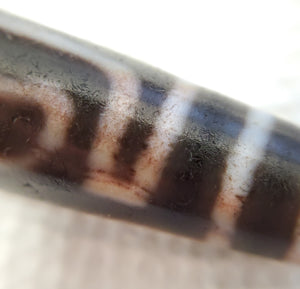 Ancient Five Eye Motif Tibetan Dzi Bead with Bloodspots (TiD-Anc-XB-FiE-092325)