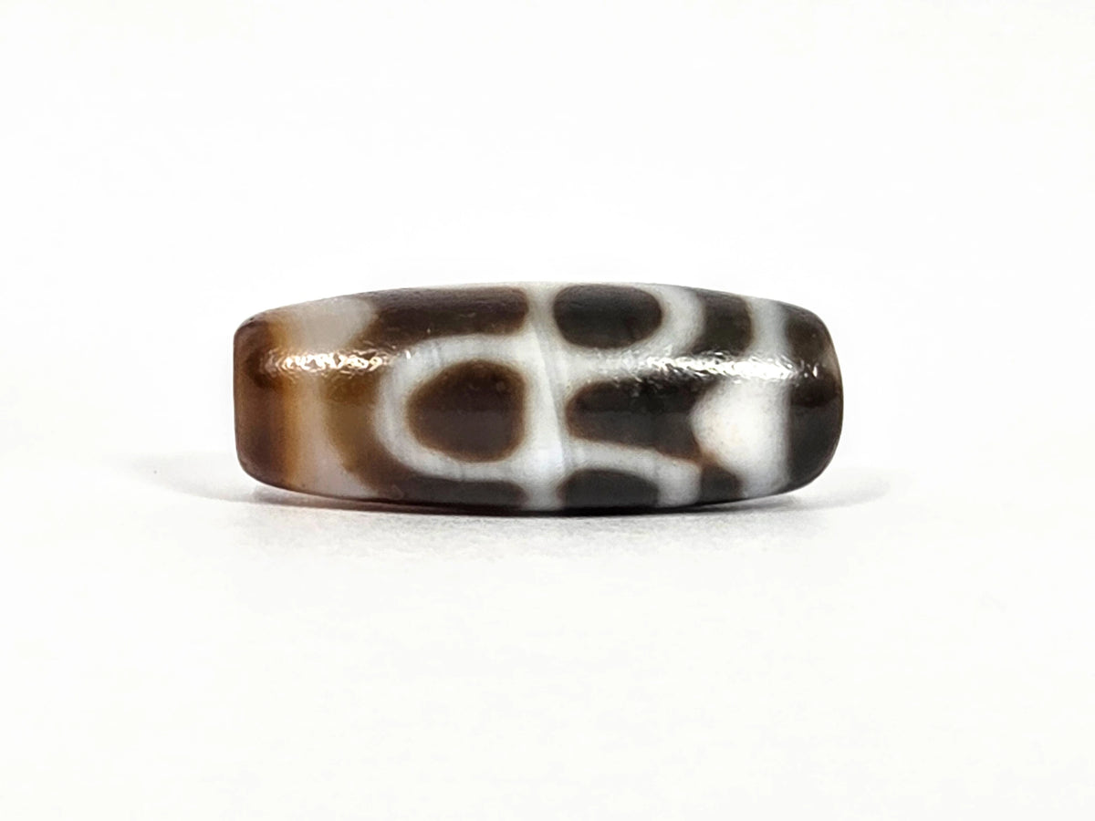 Second lateral profile of vintage Taiwan chalcedony dzi bead N-B-101426-TTL showing tiger tooth and lotus motif from alternate face — cream-white fang and petal forms on dark warm brown chalcedony ground, 29.4 mm × 11.2 mm