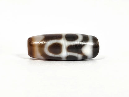 Second lateral profile of vintage Taiwan chalcedony dzi bead N-B-101426-TTL showing tiger tooth and lotus motif from alternate face — cream-white fang and petal forms on dark warm brown chalcedony ground, 29.4 mm × 11.2 mm