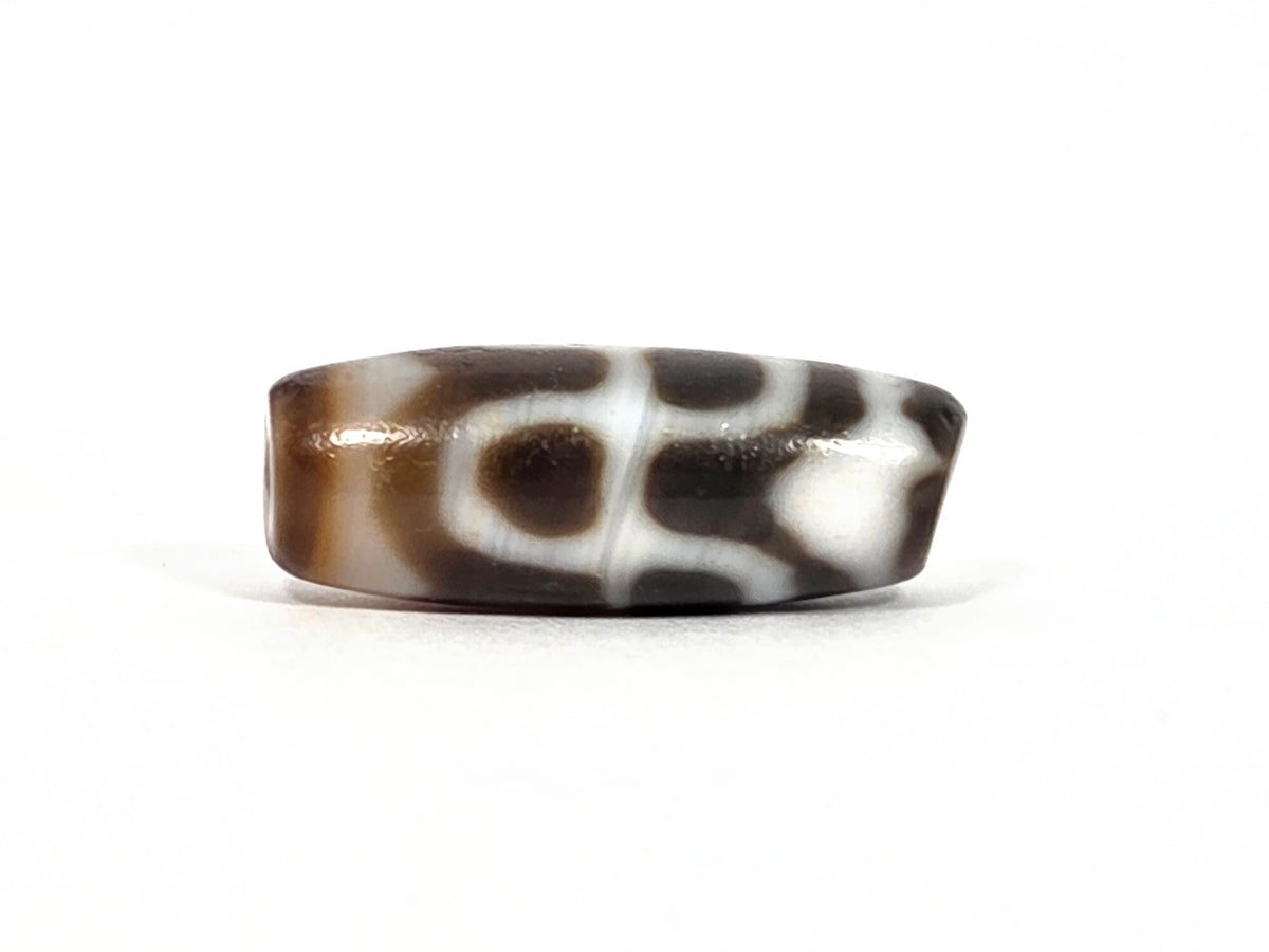 Third lateral profile of vintage Taiwan chalcedony dzi bead N-B-101426-TTL showing full barrel — cream-white tiger tooth and lotus motif with high-gloss chalcedony polish visible, dark warm brown ground, squat barrel form