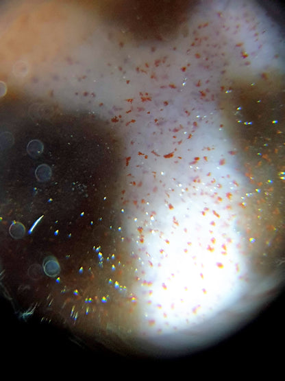 New Double Longevity Motif Dzi Bead with Bloodspots (1)