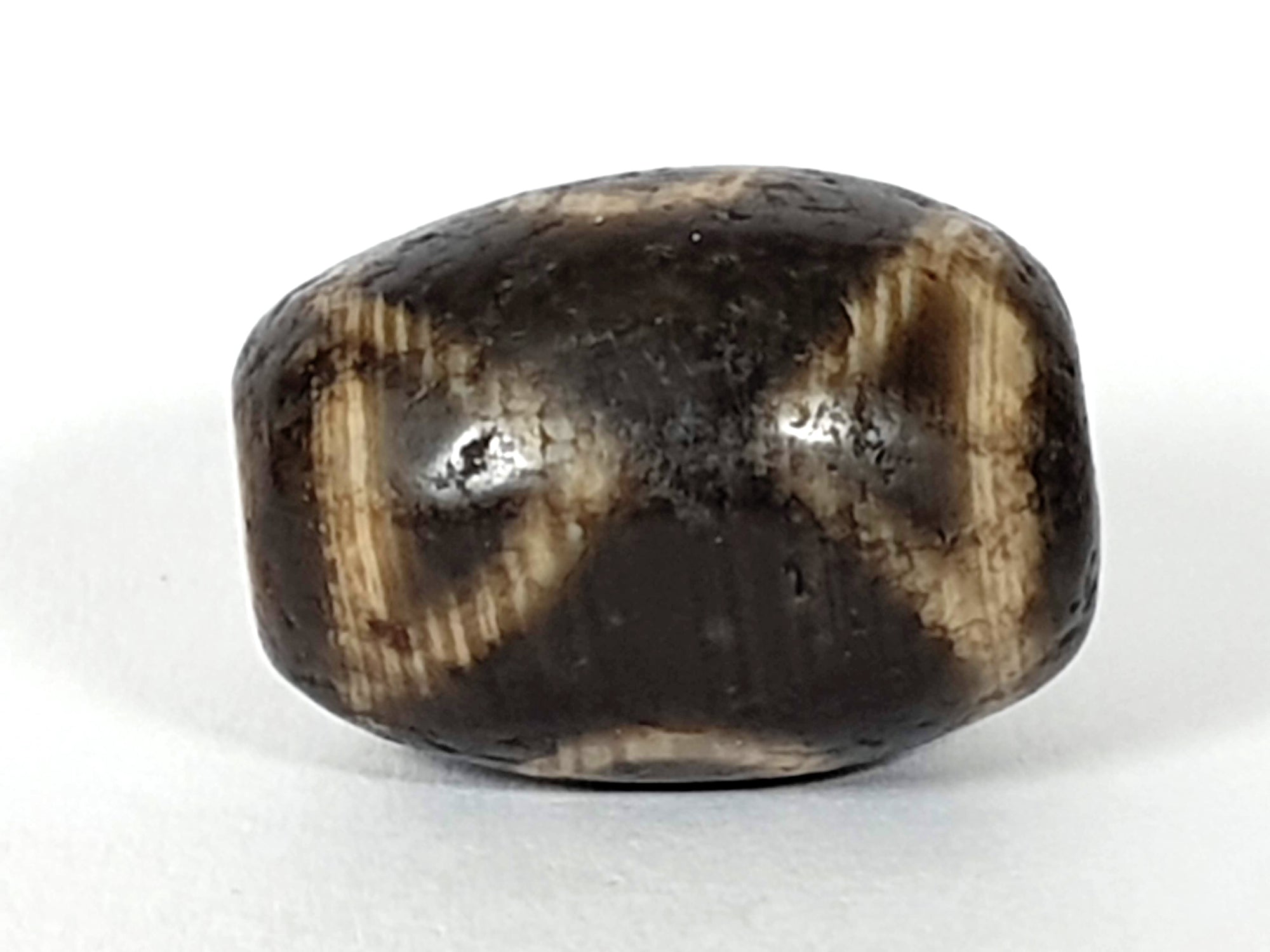 Ancient Two Eye & Tiger Tooth Motif Pumtek Bead