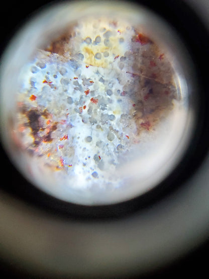 New Twelve Eye Motif Dzi Bead With Bloodspots (2)