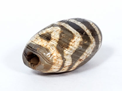 Ancient Two Eye Motif Dzi Bead (ATwE-071021)